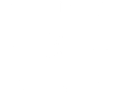 Wisdom of the Womb